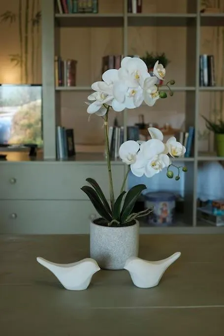 Apartment With Garden In Thessaloniki. Greece